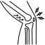 شکستگی , دررفتگی مفاصل