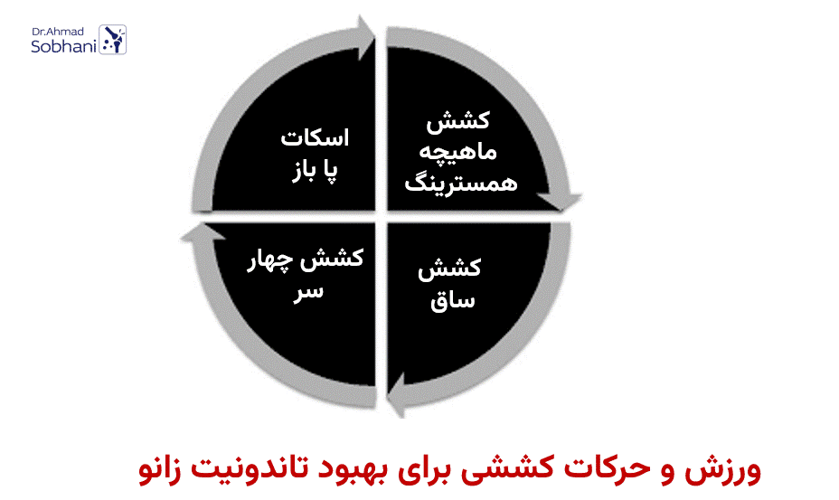 4 ورزش و حرکات کششی برای بهبود تاندونیت زانو