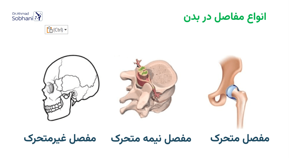 بررسی انواع مفاصل در بدن