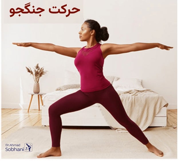 حرکت جنگجو